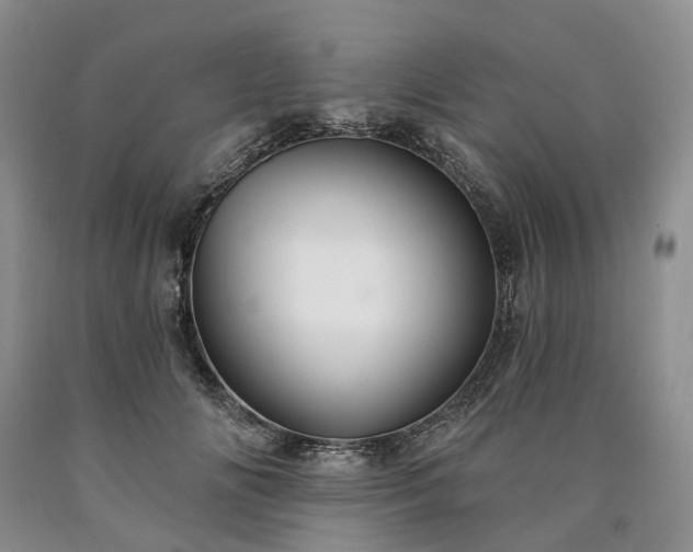X0000090460702200707201334