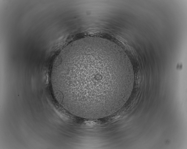 X0000090460703200707201334