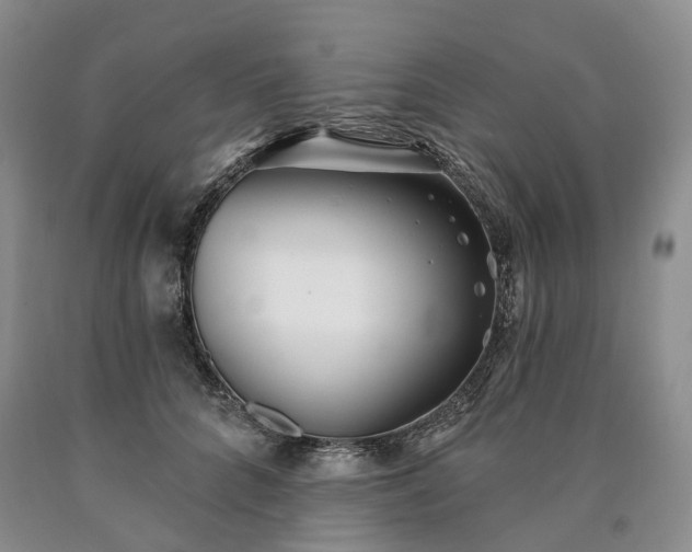 X0000090460704200707201334