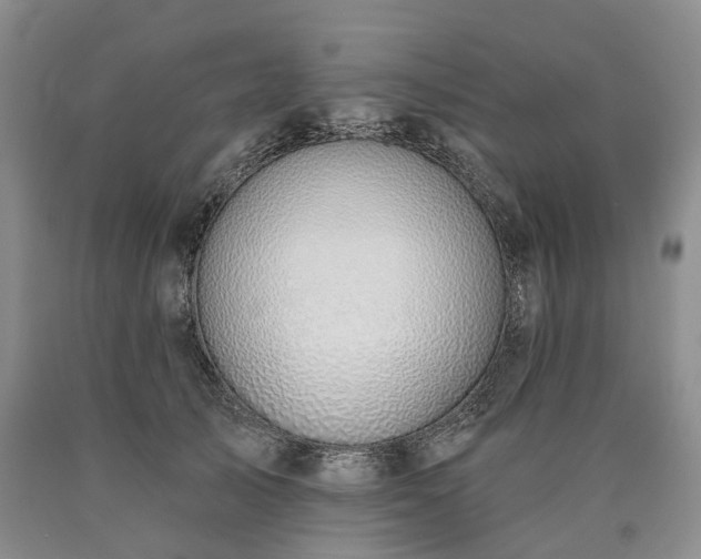 X0000090460705200707201334