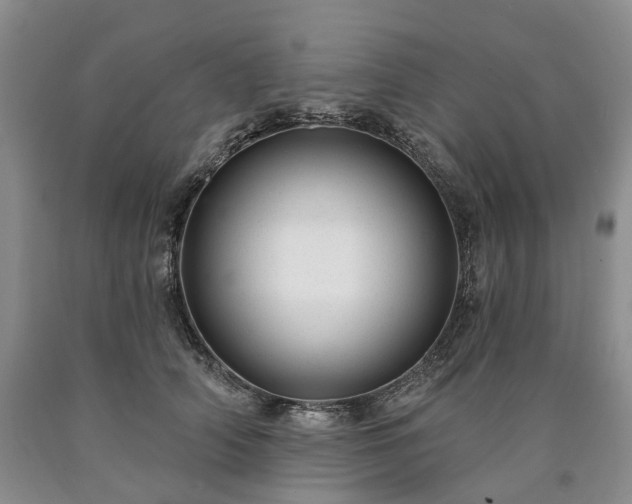 X0000090460706200707201334