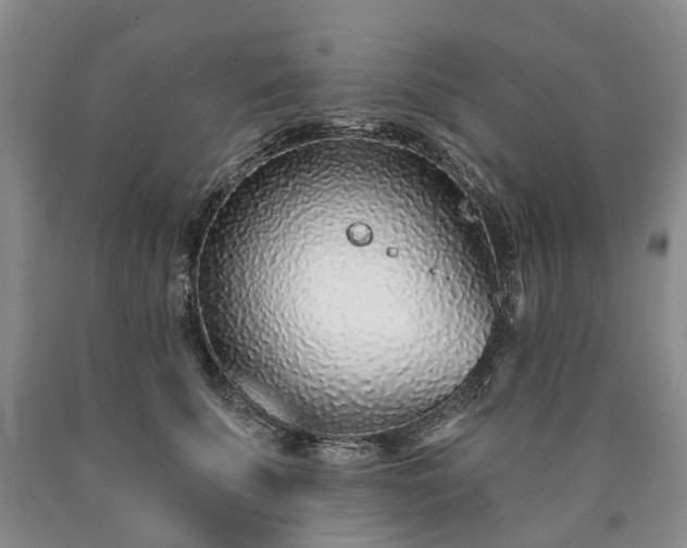 X0000090460707200707201334