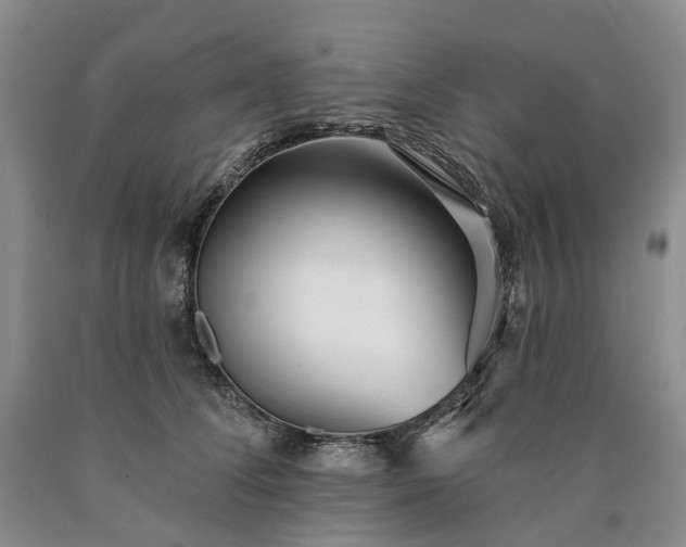 X0000090460708200707201334