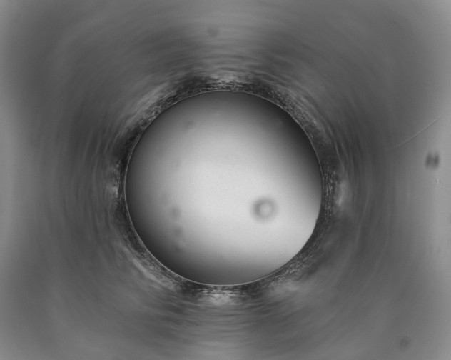X0000090460710200707201334