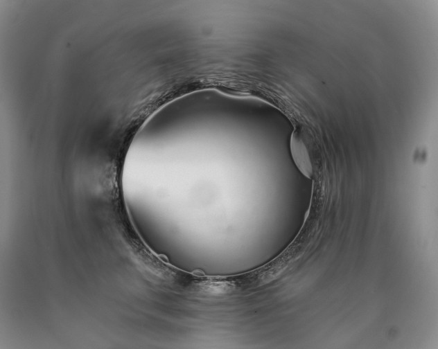 X0000090460711200707201334