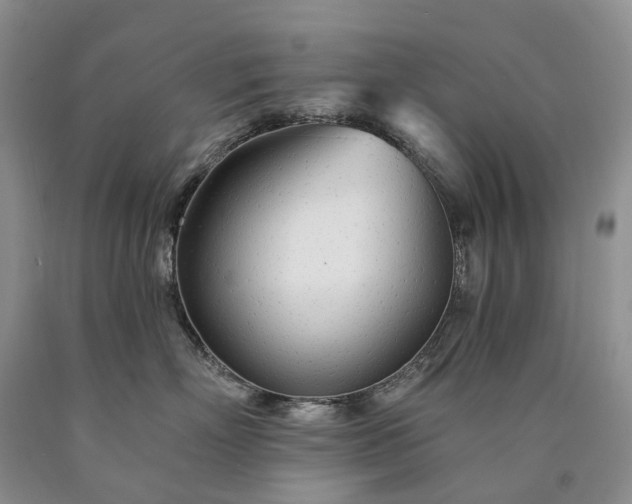 X0000090460718200707201334