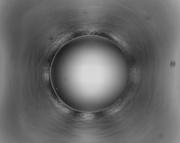 X0000090460719200707201334
