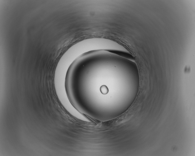 X0000090460720200707201334