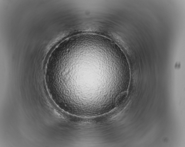 X0000090460721200707201333