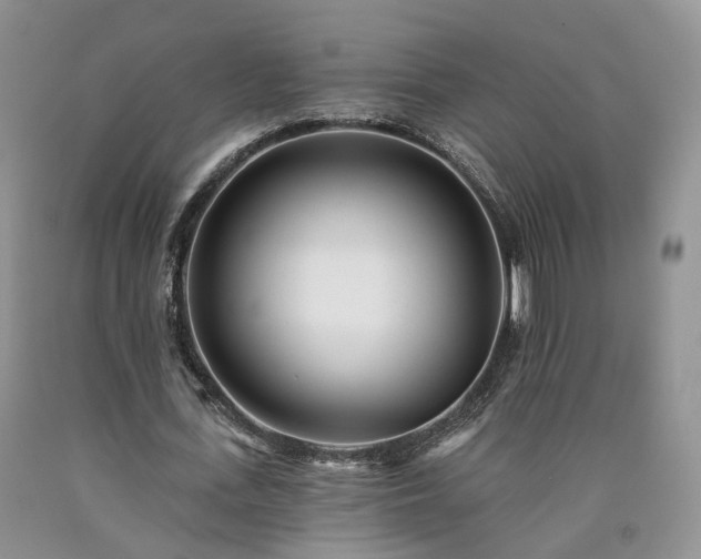 X0000090460723200707201333