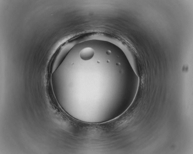 X0000090460724200707201333