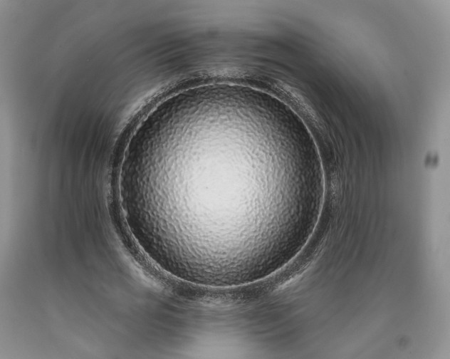 X0000090460725200707201333