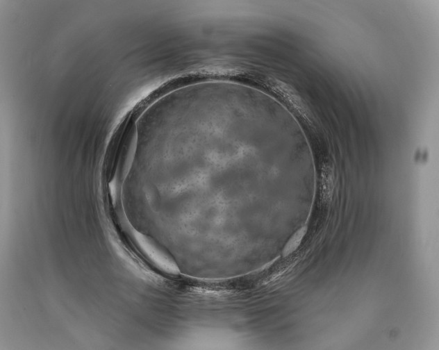 X0000090460726200707201333