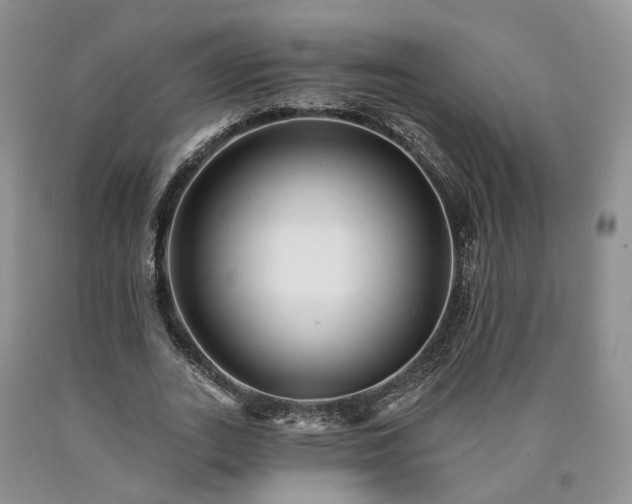 X0000090460727200707201333