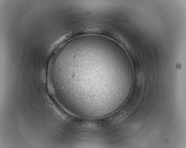 X0000090460729200707201334