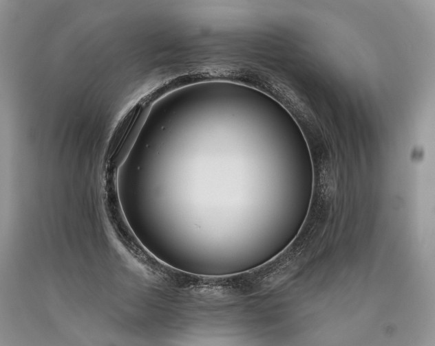 X0000090460730200707201334
