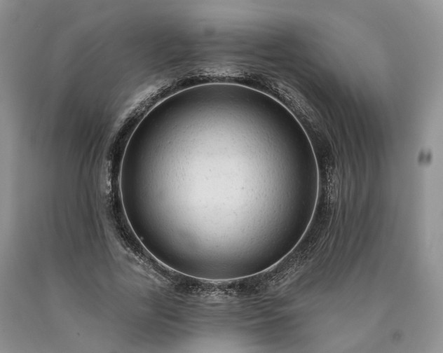 X0000090460731200707201334