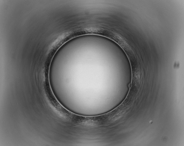X0000090460734200707201334