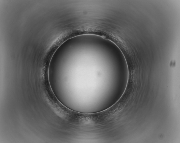 X0000090460735200707201334