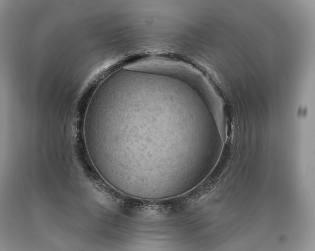 X0000090460736200707201334