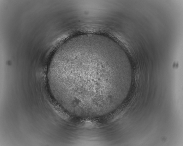 X0000090460737200707201334