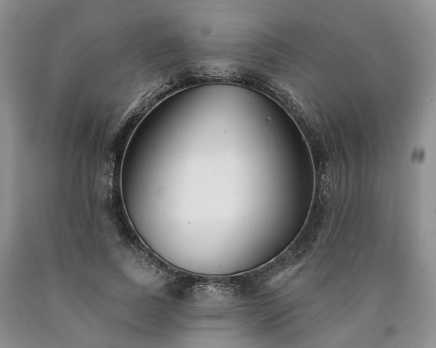 X0000090460739200707201334