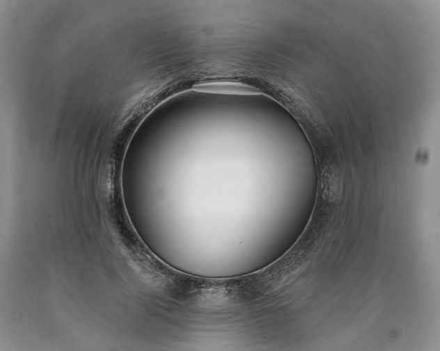 X0000090460740200707201334