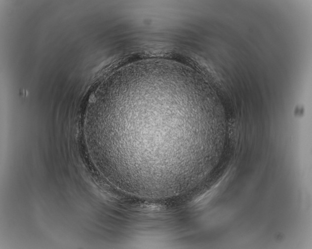 X0000090460741200707201334