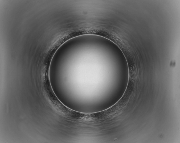 X0000090460742200707201334