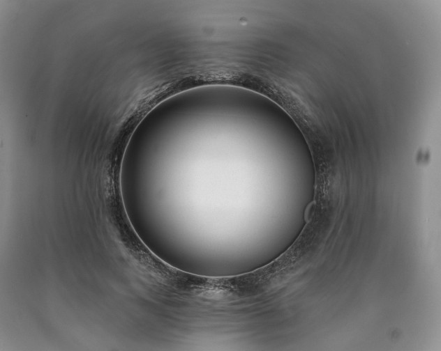 X0000090460743200707201334