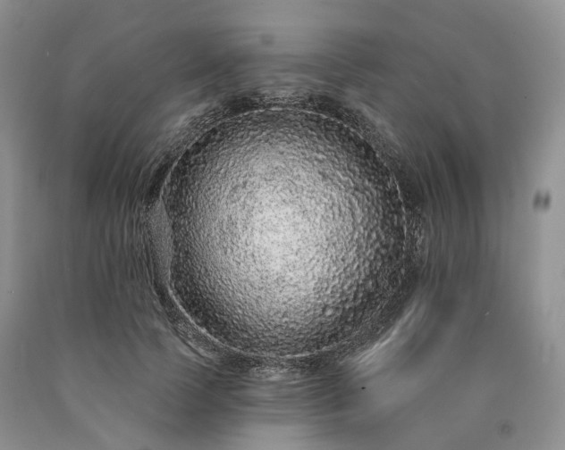 X0000090460745200707201334