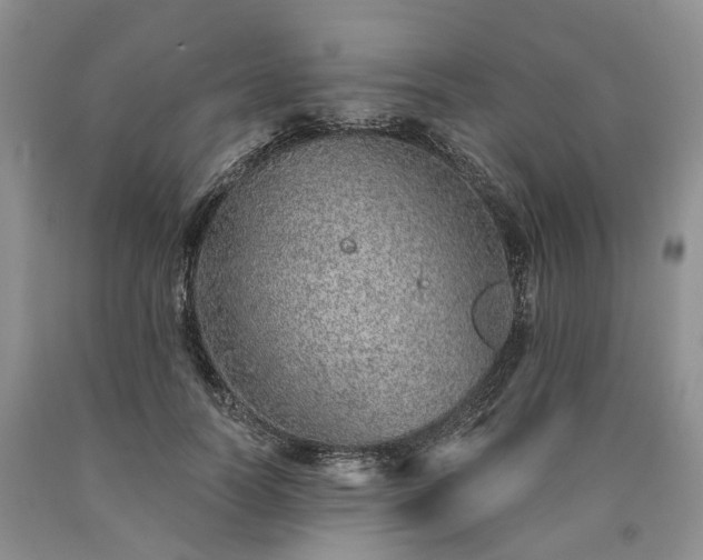X0000090460746200707201334