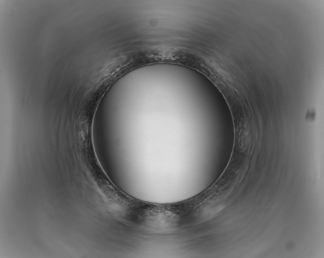 X0000090460747200707201334