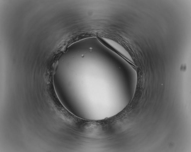 X0000090460750200707201334