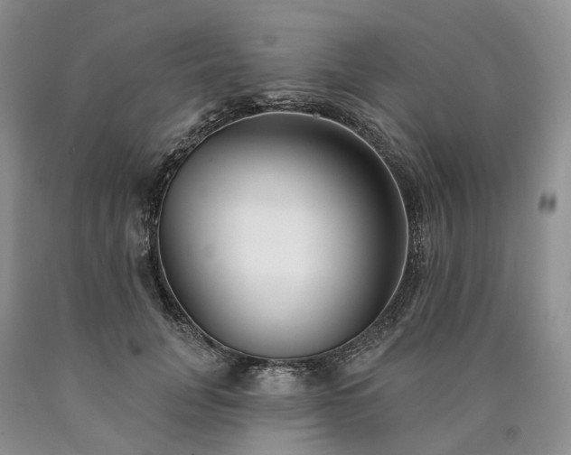 X0000090460751200707201334