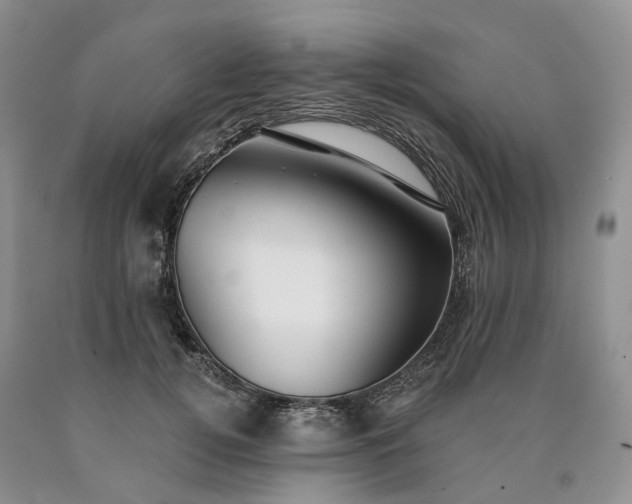 X0000090460752200707201334