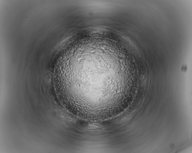 X0000090460753200707201334