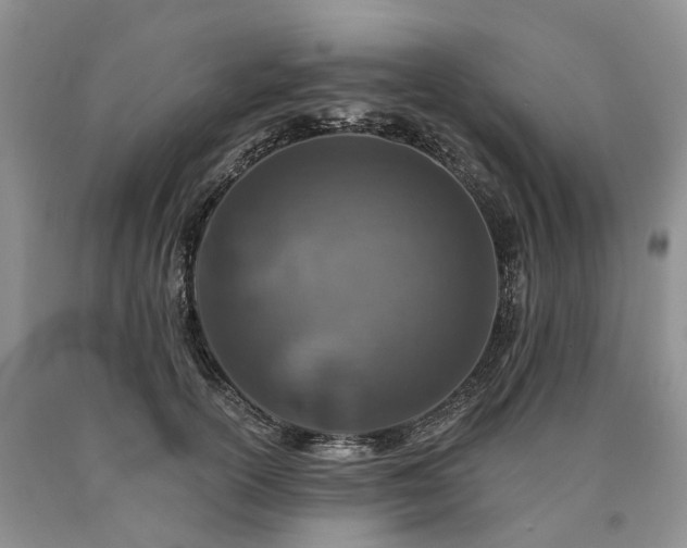 X0000090460754200707201334