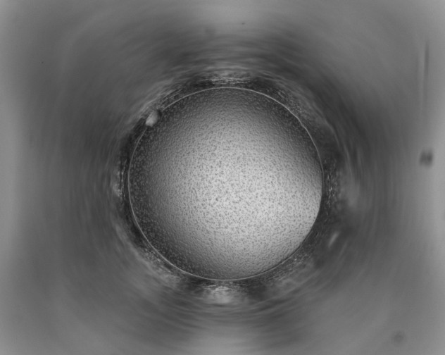 X0000090460755200707201334