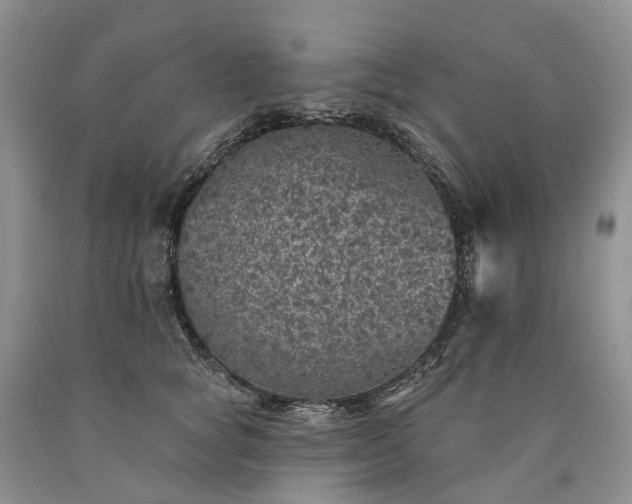 X0000090460757200707201334