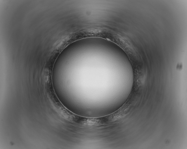 X0000090460758200707201334