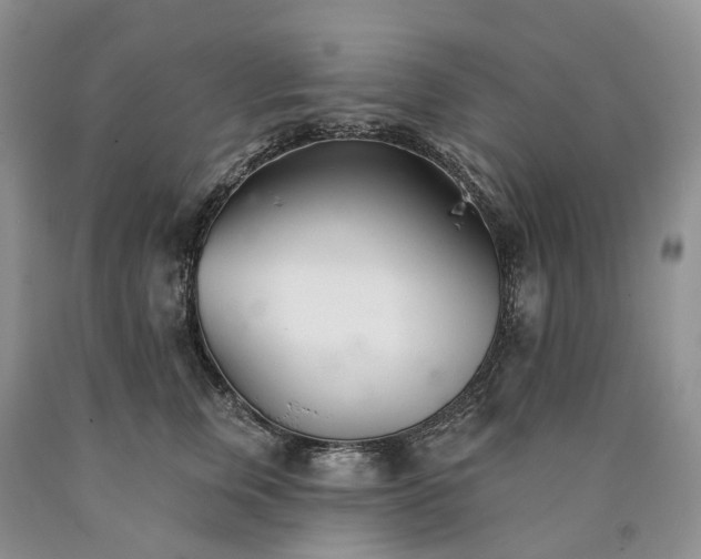 X0000090460759200707201334