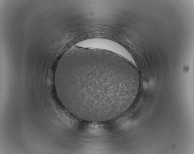 X0000090460760200707201334