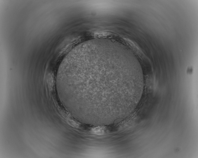 X0000090460761200707201334