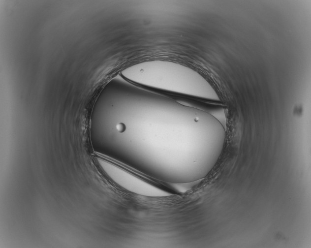 X0000090460762200707201334