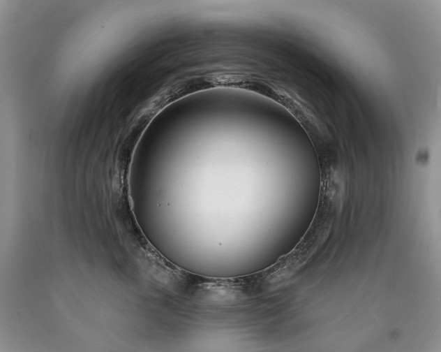 X0000090460763200707201334