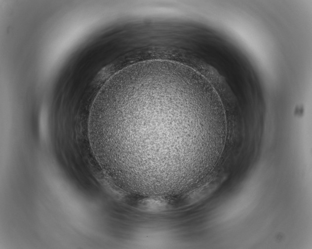 X0000090460765200707201334