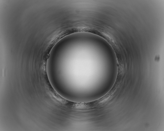 X0000090460766200707201334