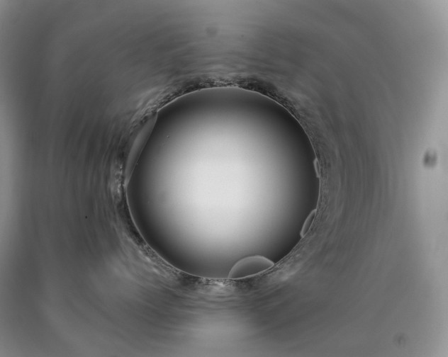 X0000090460768200707201334