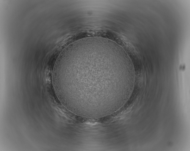 X0000090460770200707201333